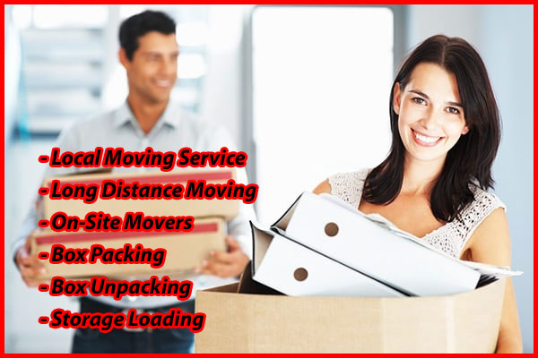 Packers And Movers Noida Sector 55